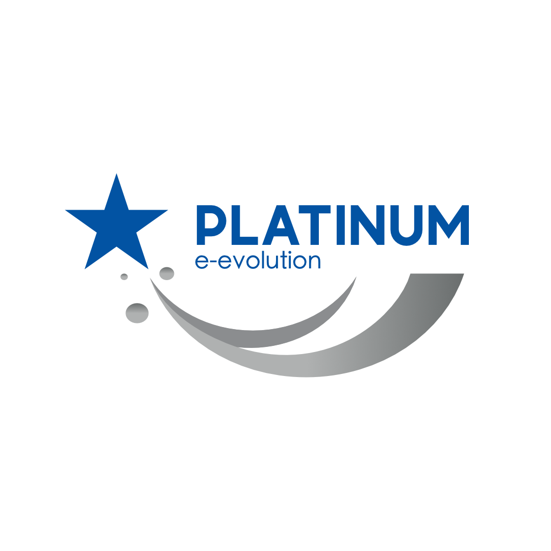 Platinum eEvolution, Reclutamiento, coaching, team building, asesoría en materia de recursos humanos
