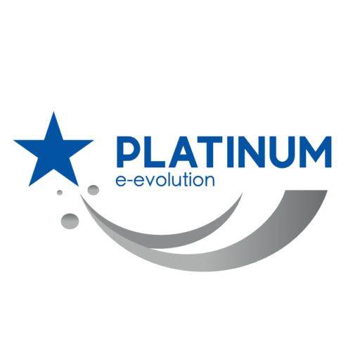 Platinum eEvolution, Reclutamiento, coaching, team building, asesoría en materia de recursos humanos